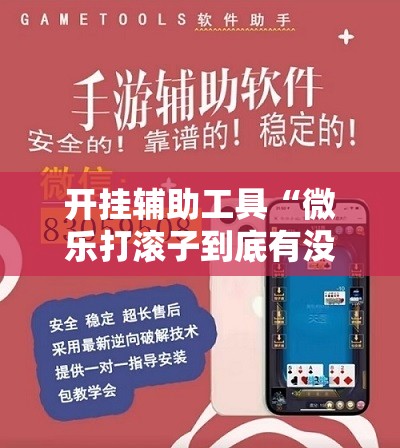 开挂辅助工具“微乐打滚子到底有没有挂”详细分享装挂步骤
