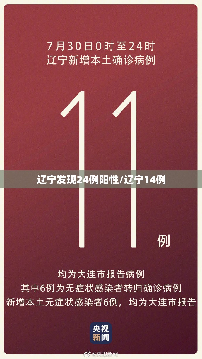 辽宁发现24例阳性/辽宁14例