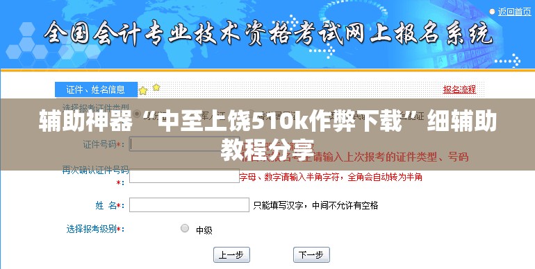辅助神器“中至上饶510k作弊下载	”细辅助教程分享