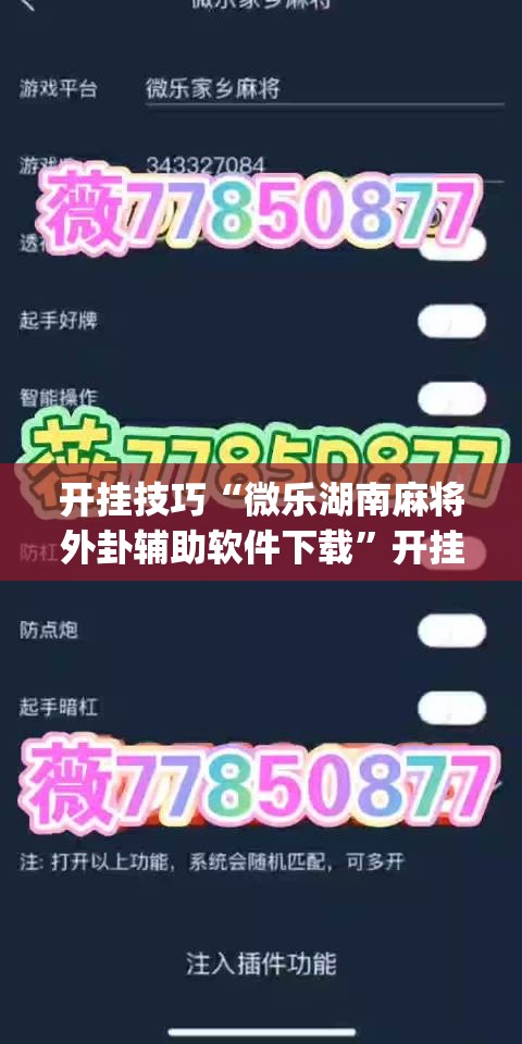 开挂技巧“微乐湖南麻将外卦辅助软件下载	”开挂(透视)辅助神器