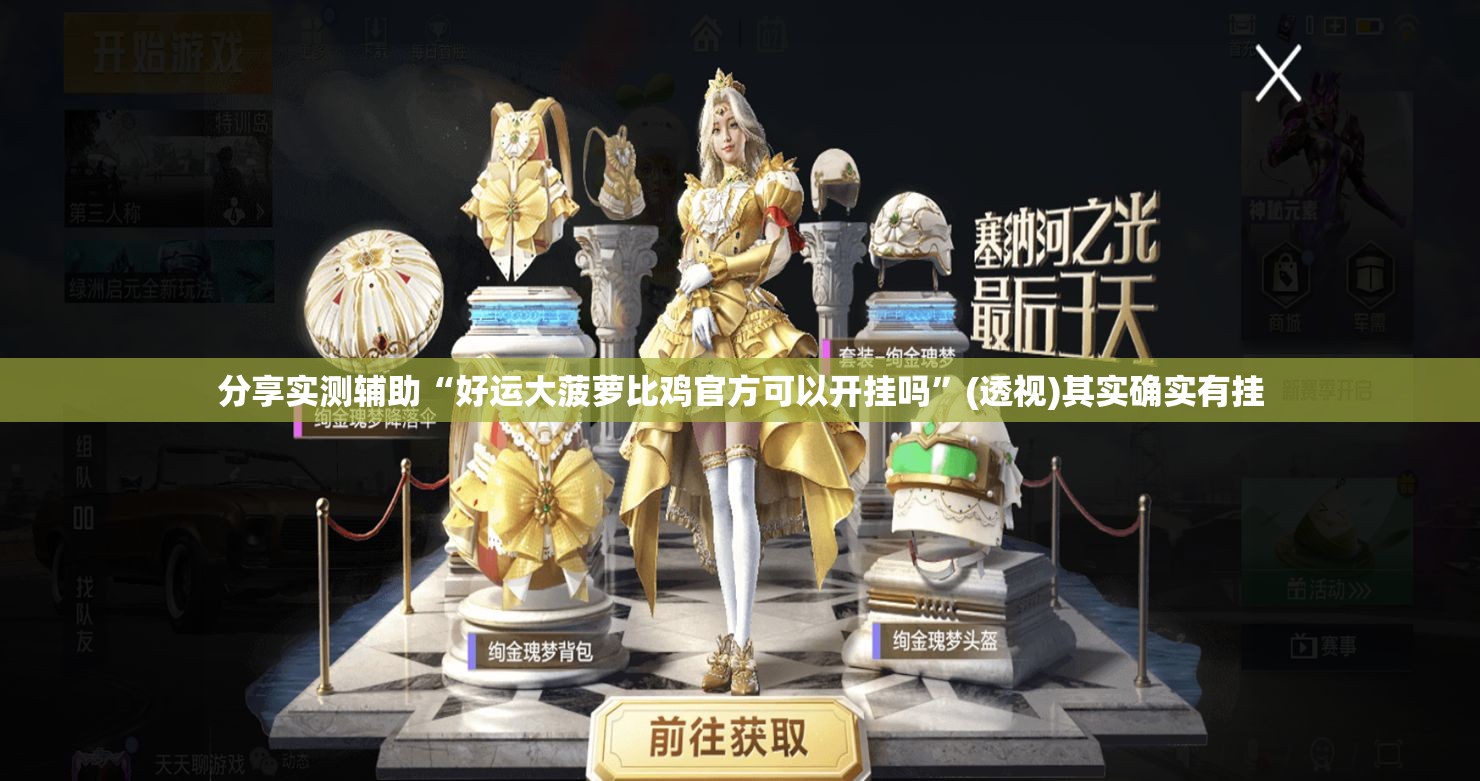 分享实测辅助“好运大菠萝比鸡官方可以开挂吗”(透视)其实确实有挂