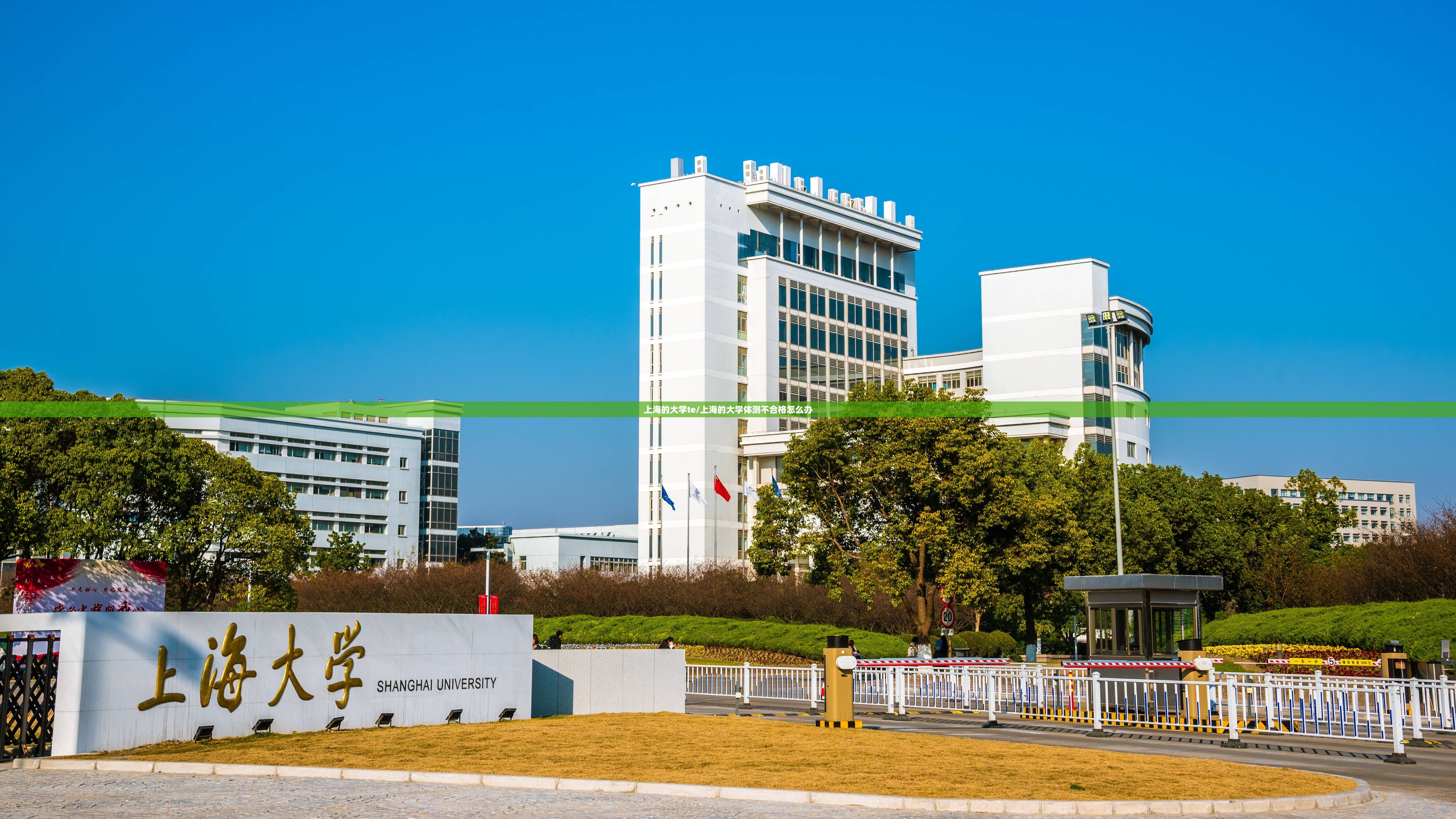 上海的大学te/上海的大学体测不合格怎么办 上海的大学te/上海的大学体测不合格怎么办