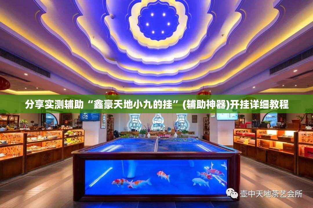 分享实测辅助“鑫豪天地小九的挂”(辅助神器)开挂详细教程