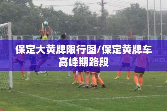 保定大黄牌限行图/保定黄牌车高峰期路段 保定大黄牌限行图/保定黄牌车高峰期路段