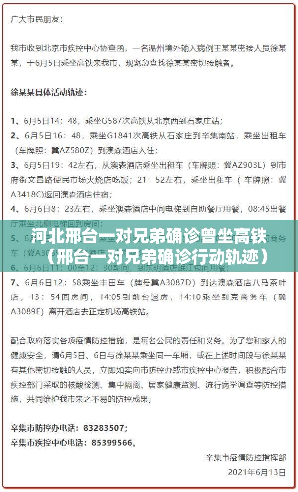 河北邢台一对兄弟确诊曾坐高铁(邢台一对兄弟确诊行动轨迹) 河北邢台一对兄弟确诊曾坐高铁(邢台一对兄弟确诊行动轨迹)