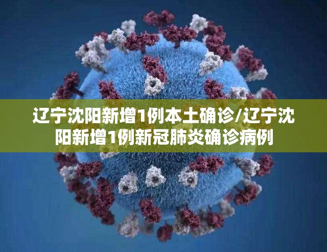 辽宁沈阳新增1例本土确诊/辽宁沈阳新增1例新冠肺炎确诊病例 辽宁沈阳新增1例本土确诊/辽宁沈阳新增1例新冠肺炎确诊病例