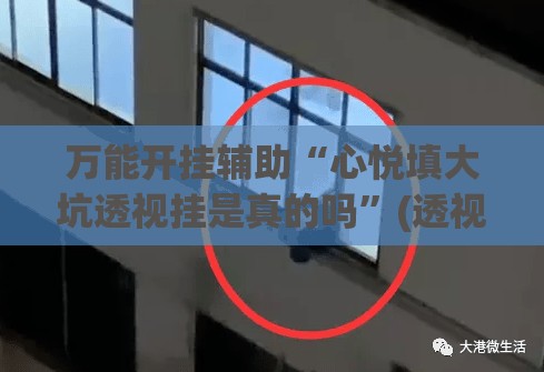 万能开挂辅助“心悦填大坑透视挂是真的吗”(透视)其实确实有挂