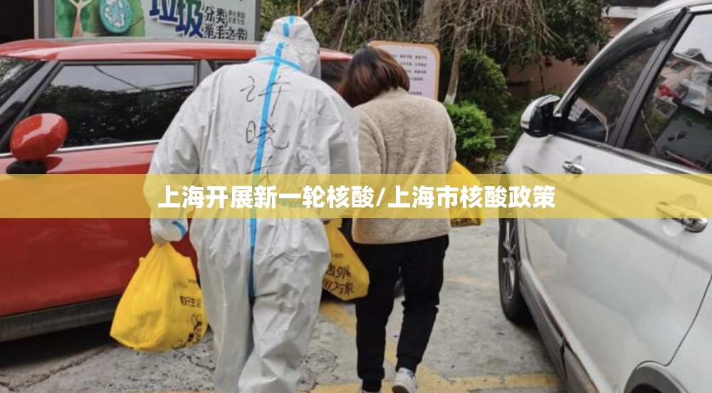 上海开展新一轮核酸/上海市核酸政策