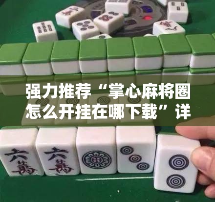 强力推荐“掌心麻将圈怎么开挂在哪下载	”详细分享装挂步骤