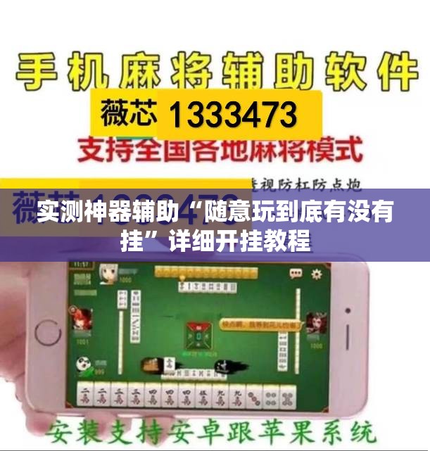 实测神器辅助“随意玩到底有没有挂”详细开挂教程