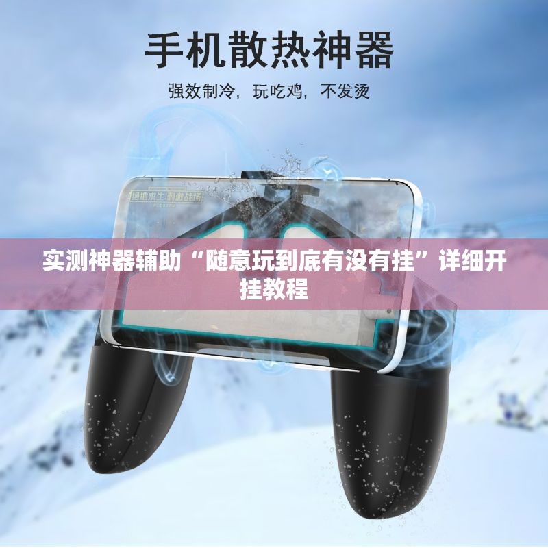 实测神器辅助“随意玩到底有没有挂”详细开挂教程