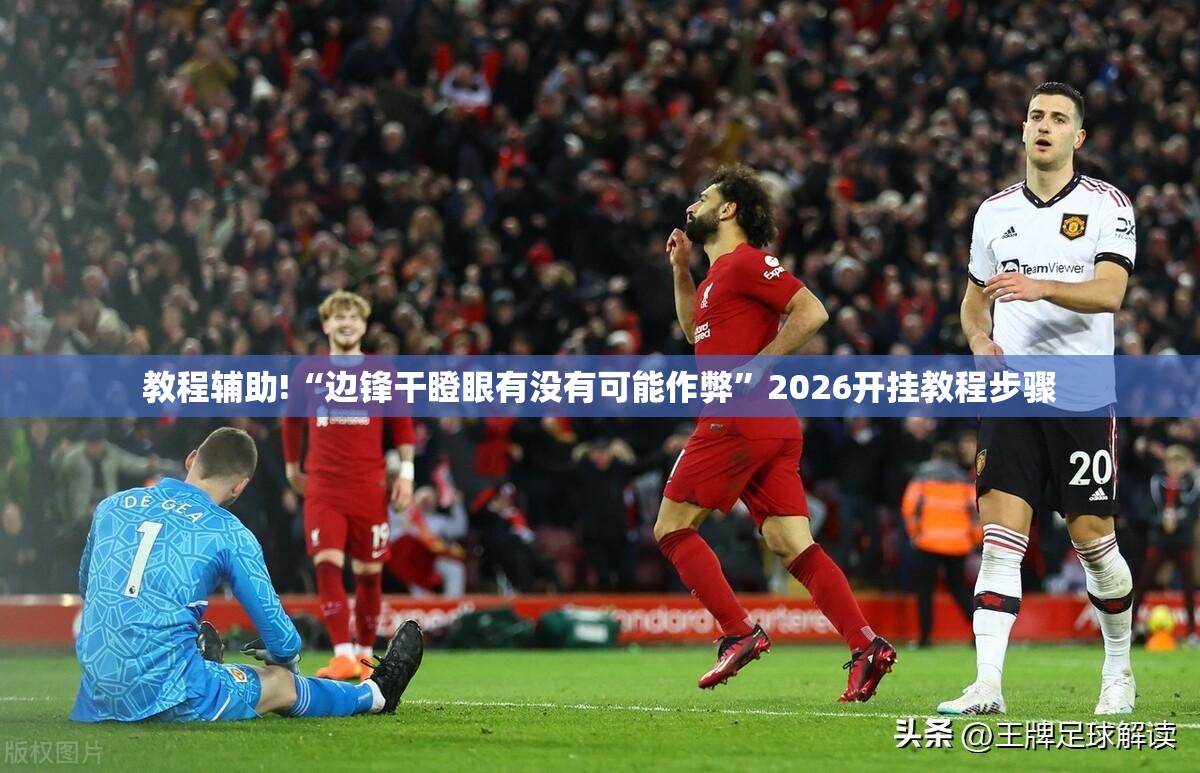 教程辅助!“边锋干瞪眼有没有可能作弊”2026开挂教程步骤