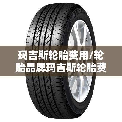 玛吉斯轮胎费用/轮胎品牌玛吉斯轮胎费用 玛吉斯轮胎费用/轮胎品牌玛吉斯轮胎费用