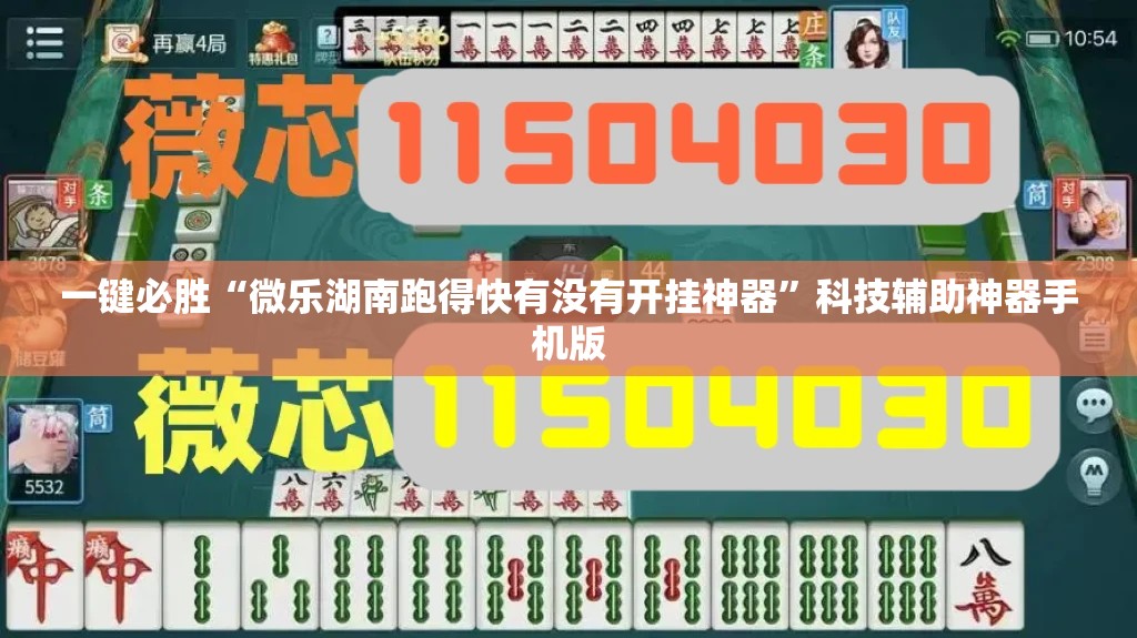 一键必胜“微乐湖南跑得快有没有开挂神器	”科技辅助神器手机版
