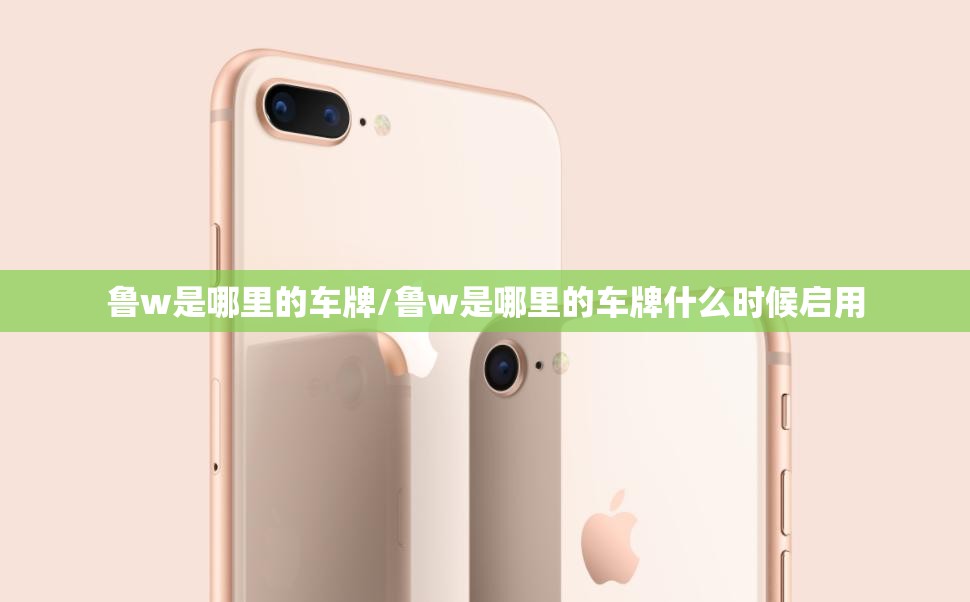 鲁w是哪里的车牌/鲁w是哪里的车牌什么时候启用 鲁w是哪里的车牌/鲁w是哪里的车牌什么时候启用