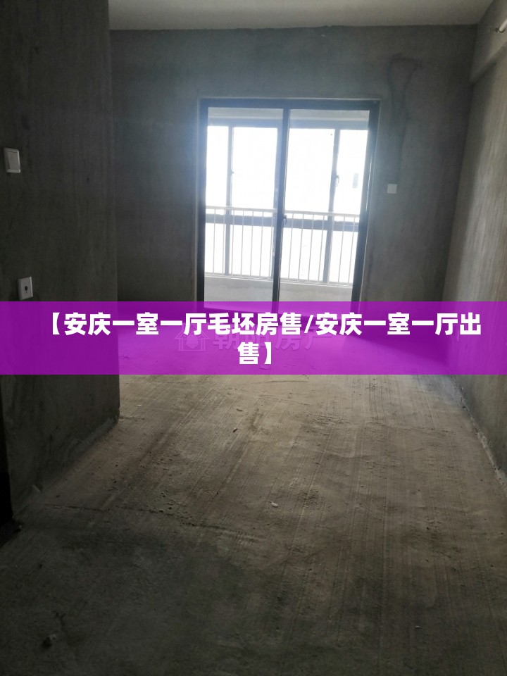 【安庆一室一厅毛坯房售/安庆一室一厅出售】