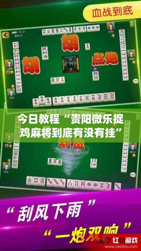 今日教程“贵阳微乐捉鸡麻将到底有没有挂”开挂(透视)辅助教程