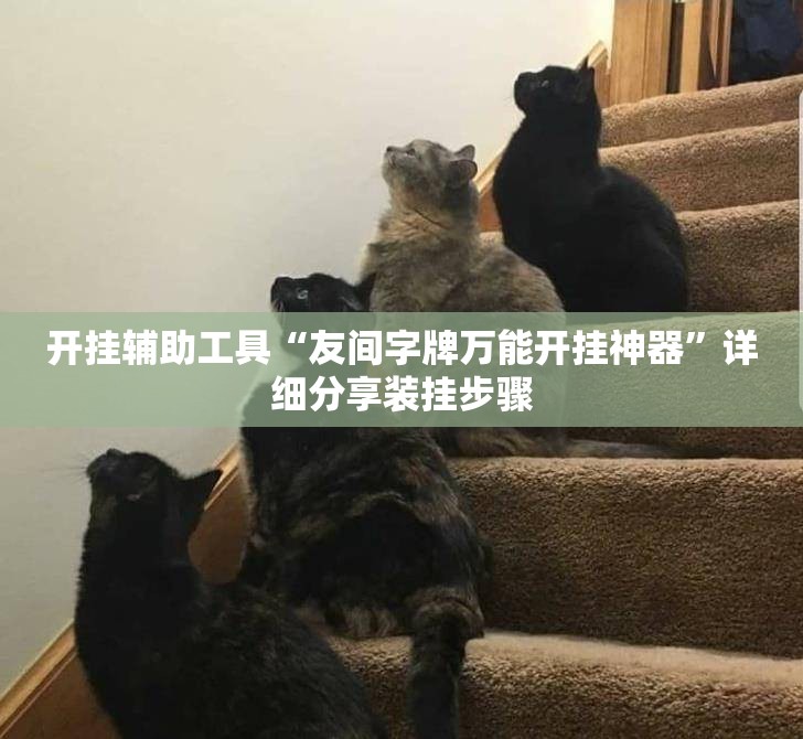 开挂辅助工具“友间字牌万能开挂神器”详细分享装挂步骤