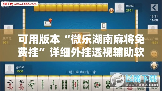 可用版本“微乐湖南麻将免费挂”详细外挂透视辅助软件教程