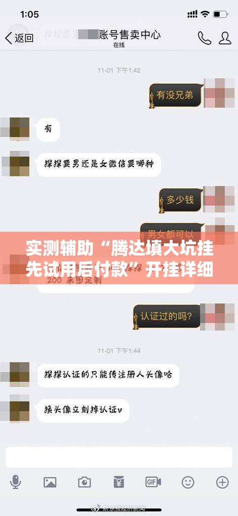 实测辅助“腾达填大坑挂先试用后付款”开挂详细教程