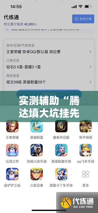 实测辅助“腾达填大坑挂先试用后付款”开挂详细教程