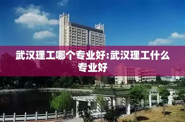 武汉理工哪个专业好:武汉理工什么专业好