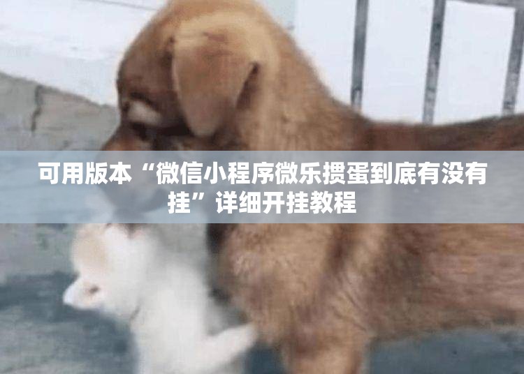 可用版本“微信小程序微乐掼蛋到底有没有挂	”详细开挂教程