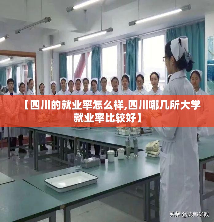 【四川的就业率怎么样,四川哪几所大学就业率比较好】