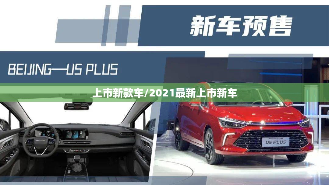 上市新款车/2021最新上市新车