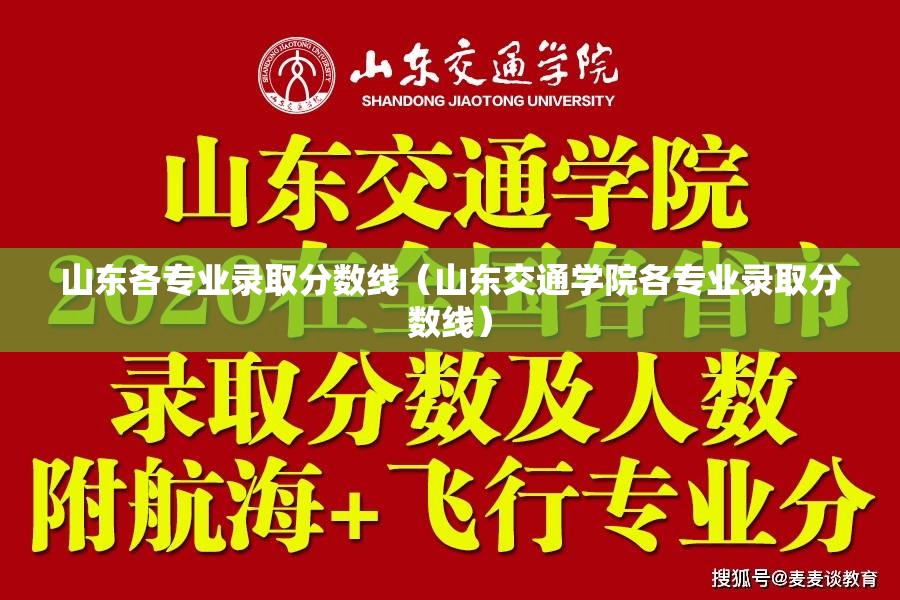 山东各专业录取分数线（山东交通学院各专业录取分数线）