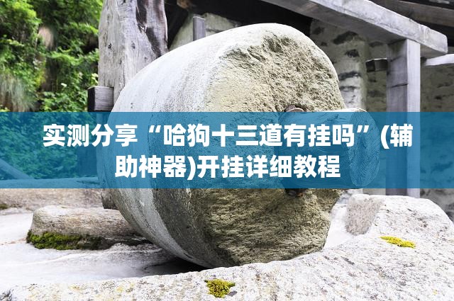 实测分享“哈狗十三道有挂吗	”(辅助神器)开挂详细教程