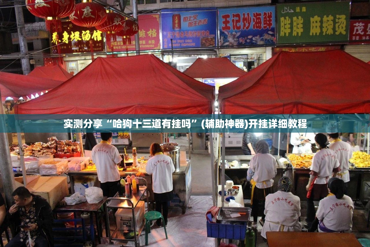 实测分享“哈狗十三道有挂吗”(辅助神器)开挂详细教程