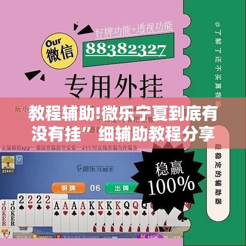教程辅助!微乐宁夏到底有没有挂”细辅助教程分享