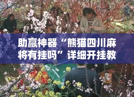 助赢神器“熊猫四川麻将有挂吗”详细开挂教程