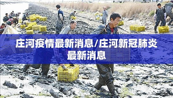 庄河疫情最新消息/庄河新冠肺炎最新消息 庄河疫情最新消息/庄河新冠肺炎最新消息