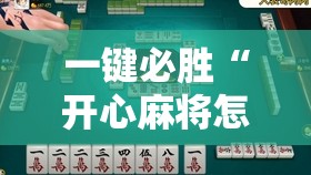 一键必胜“开心麻将怎么开挂”开挂详细教程