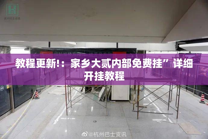 教程更新!：家乡大贰内部免费挂”详细开挂教程