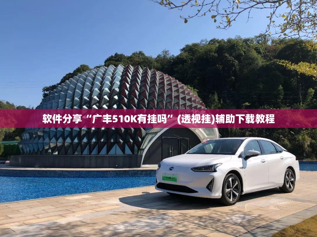 软件分享“广丰510K有挂吗”(透视挂)辅助下载教程