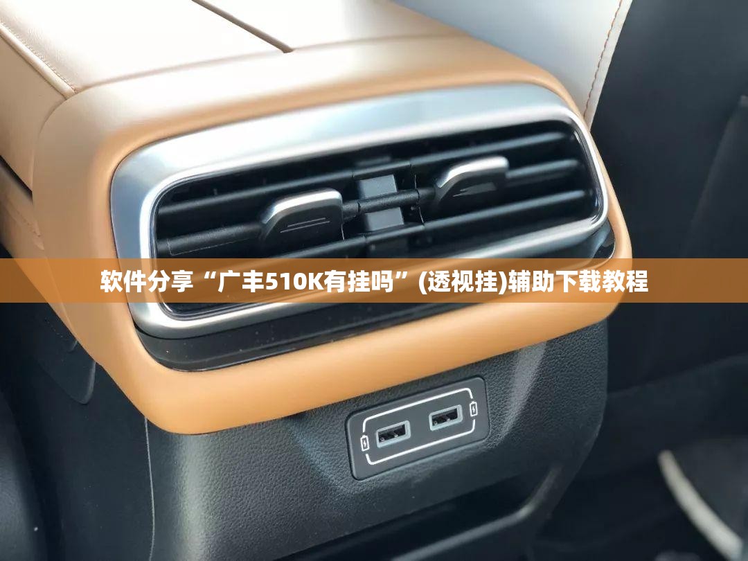 软件分享“广丰510K有挂吗	”(透视挂)辅助下载教程