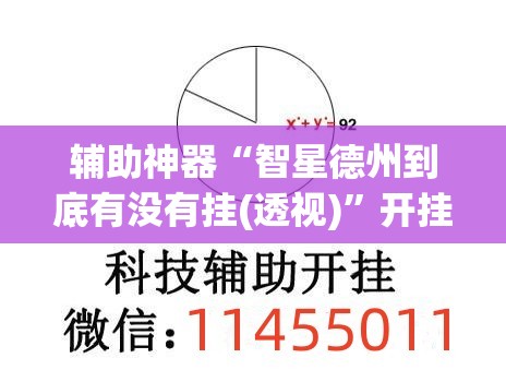 辅助神器“智星德州到底有没有挂(透视)	”开挂辅助脚本+详细开挂安装教程