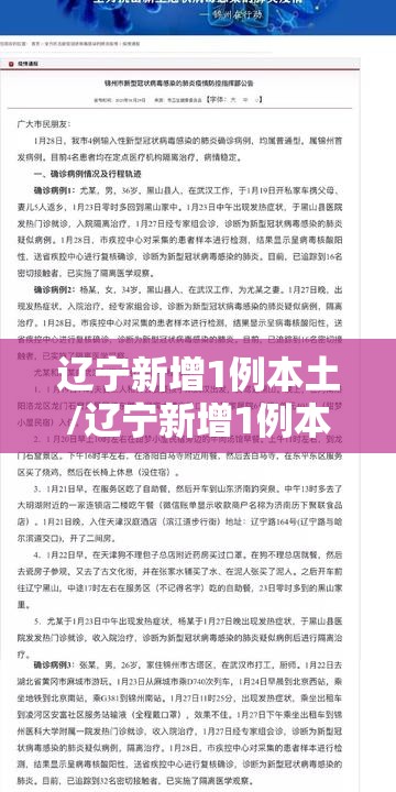 辽宁新增1例本土/辽宁新增1例本土确诊行程轨迹 辽宁新增1例本土/辽宁新增1例本土确诊行程轨迹