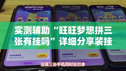 实测辅助“旺旺梦想拼三张有挂吗	”详细分享装挂步骤
