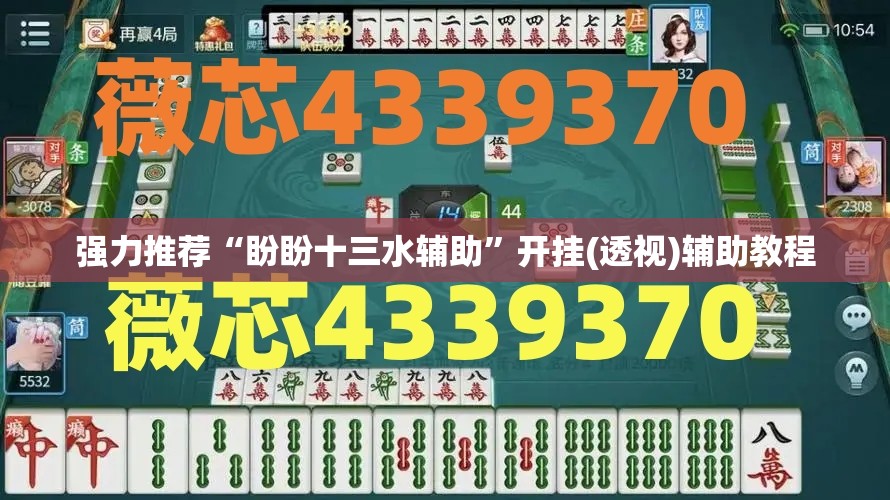 强力推荐“盼盼十三水辅助”开挂(透视)辅助教程