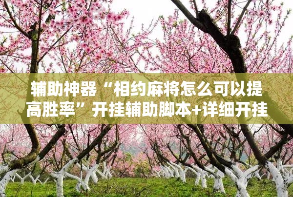 辅助神器“相约麻将怎么可以提高胜率	”开挂辅助脚本+详细开挂安装教程