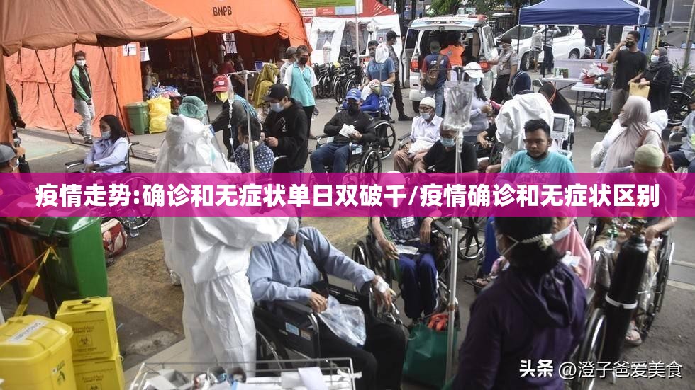 疫情走势:确诊和无症状单日双破千/疫情确诊和无症状区别
