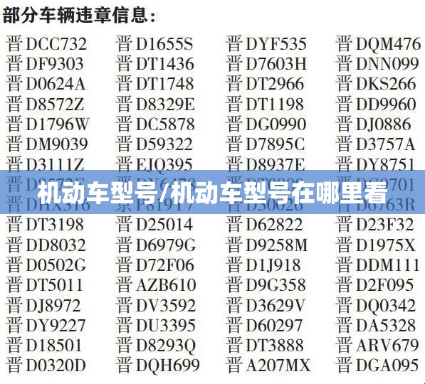 机动车型号/机动车型号在哪里看 机动车型号/机动车型号在哪里看