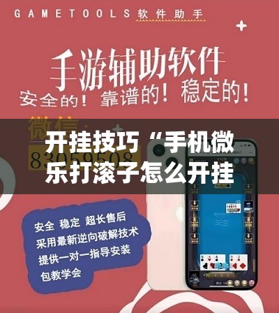 开挂技巧“手机微乐打滚子怎么开挂”开挂(透视)辅助神器