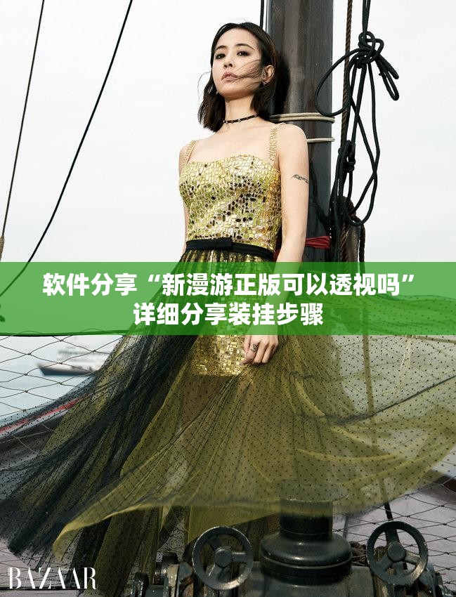 软件分享“新漫游正版可以透视吗	”详细分享装挂步骤