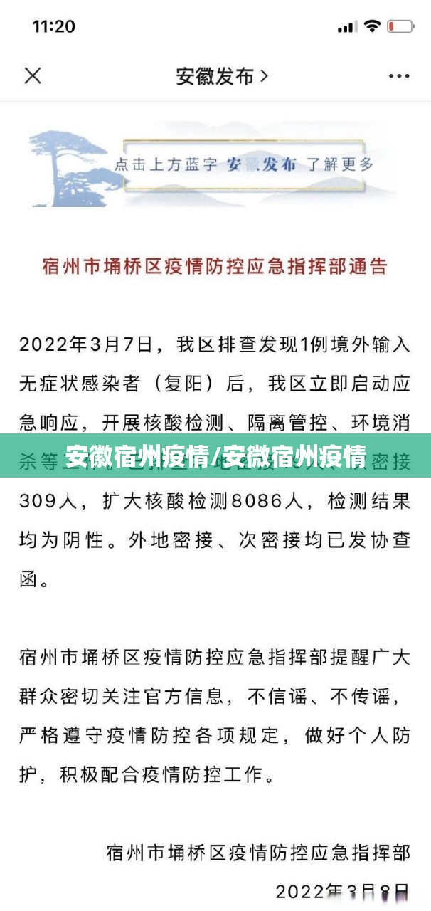 安徽宿州疫情/安微宿州疫情