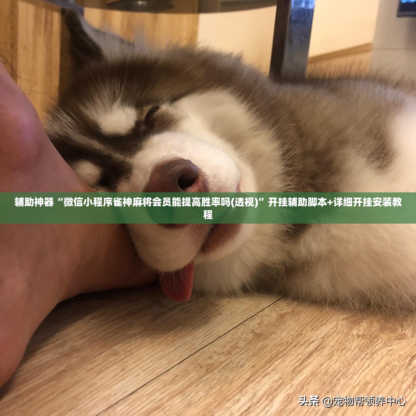 辅助神器“微信小程序雀神麻将会员能提高胜率吗(透视)”开挂辅助脚本+详细开挂安装教程